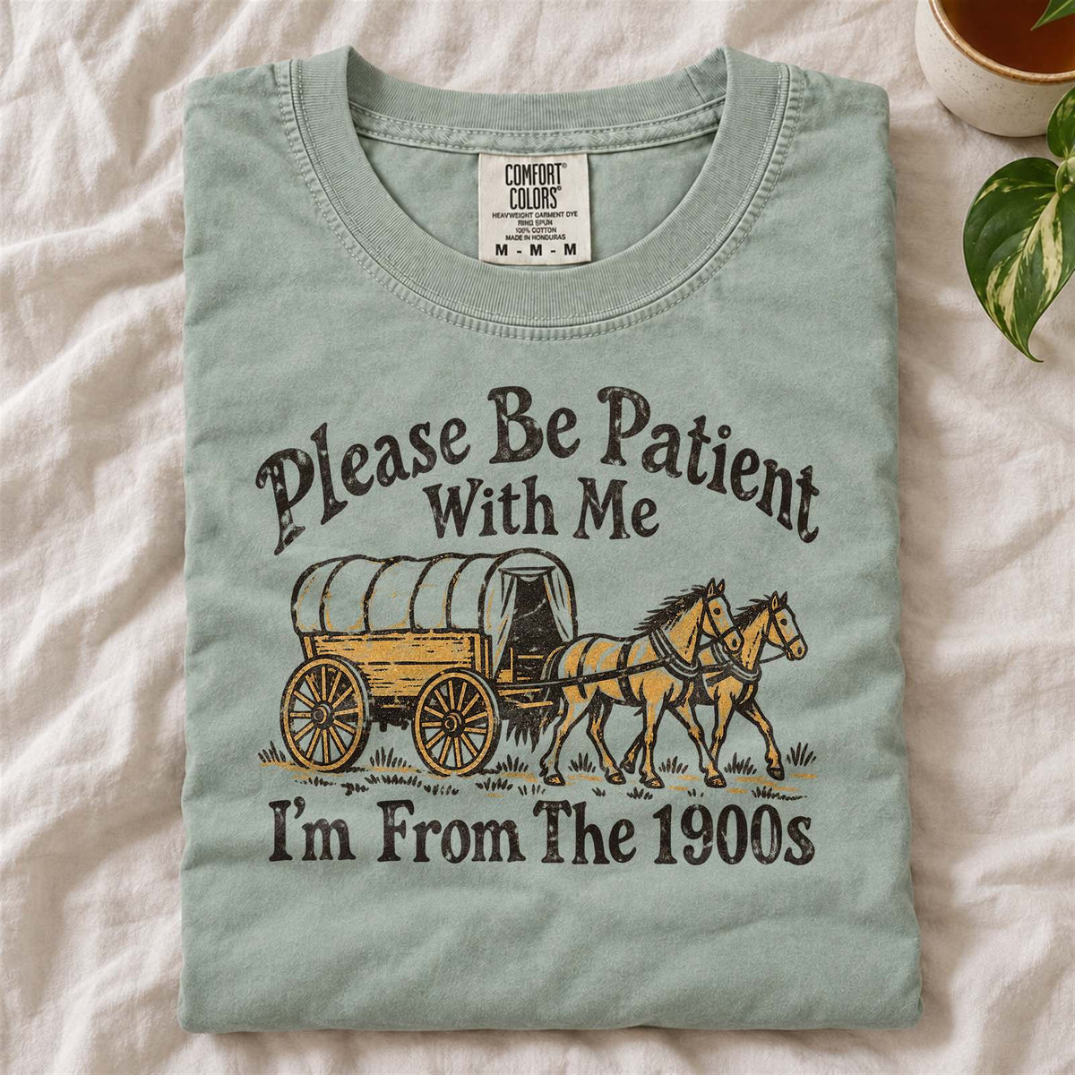 Please Be Patient With Me I'm From The 1900s Comfort Colors T-Shirt Bay